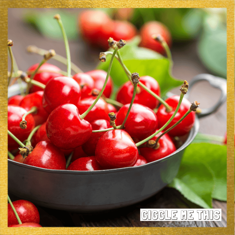 Funniest Cherry Jokes – Not AI!