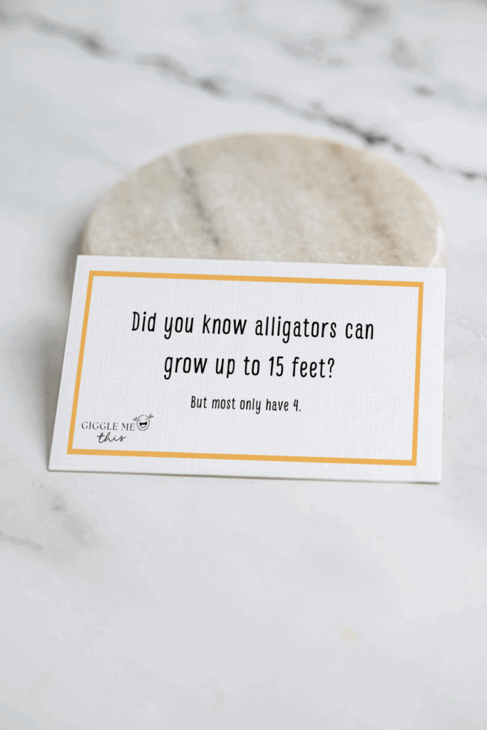 A card on a marble surface reads: Did you know alligators can grow up to 15 feet? But most only have 4—talk about Alligator Jokes!.