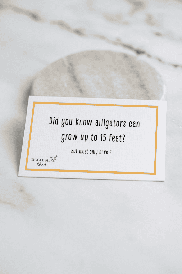 A card on a marble surface reads: Did you know alligators can grow up to 15 feet? But most only have 4—talk about Alligator Jokes!.