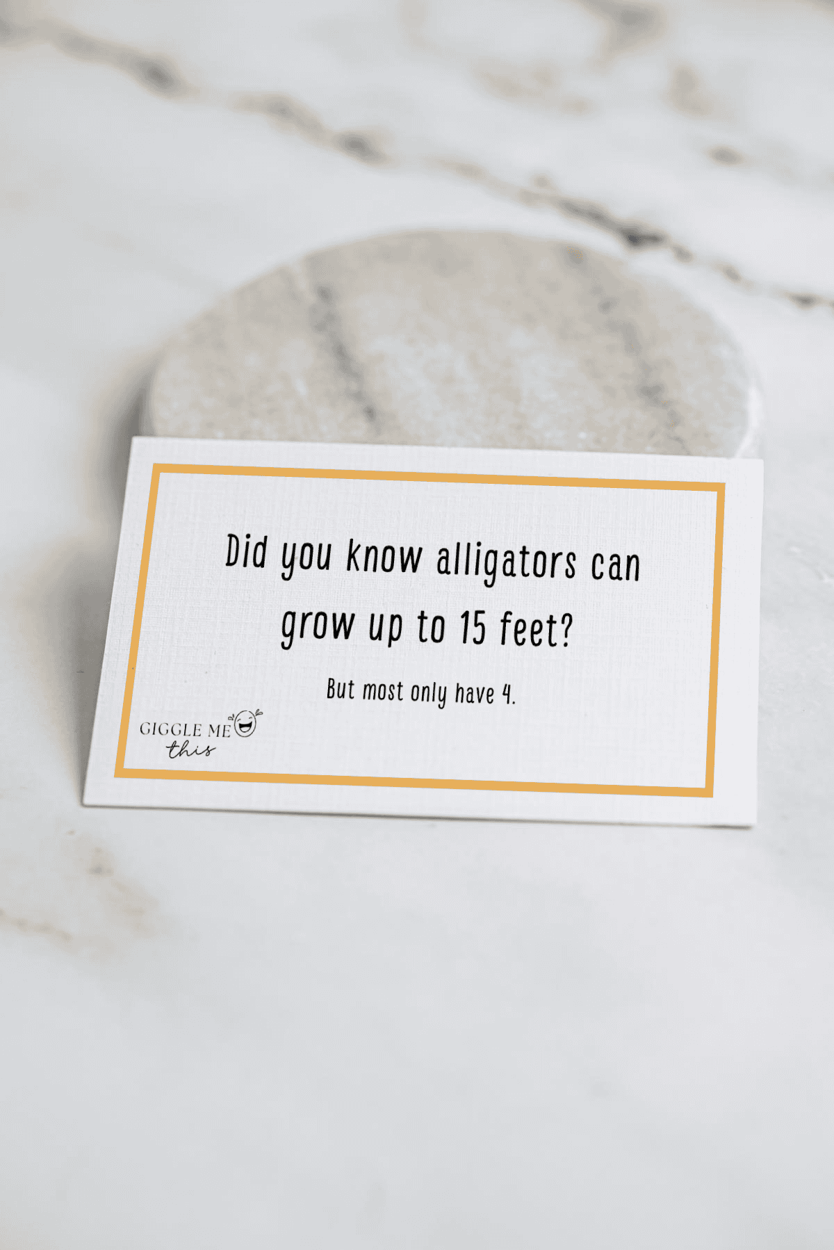 A card on a marble surface reads: Did you know alligators can grow up to 15 feet? But most only have 4—talk about Alligator Jokes!.